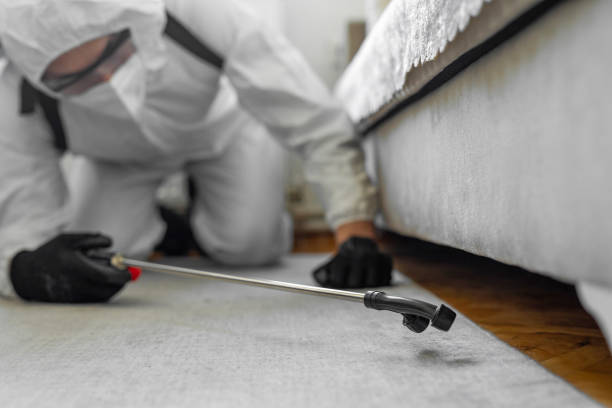 Professional Termite Control technician working in Mountain View, MO