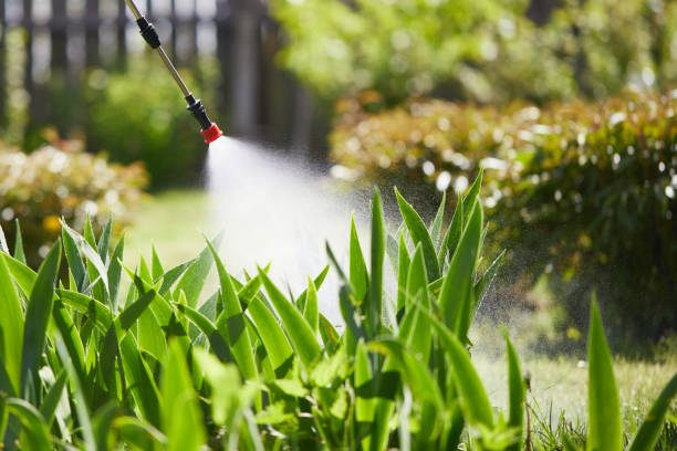 24/7 Emergency Termite Control experts in Mountain View, MO