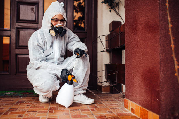 Reliable Termite Control contractor in Mountain View, MO by Nex Pest Control