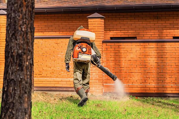 Top rated local Termite Control specialists in Mountain View, MO